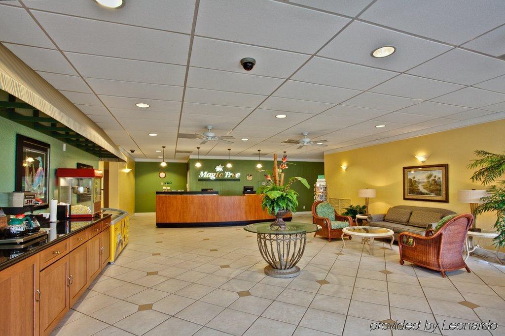 Magic Tree Resort Four Corners Intérieur photo