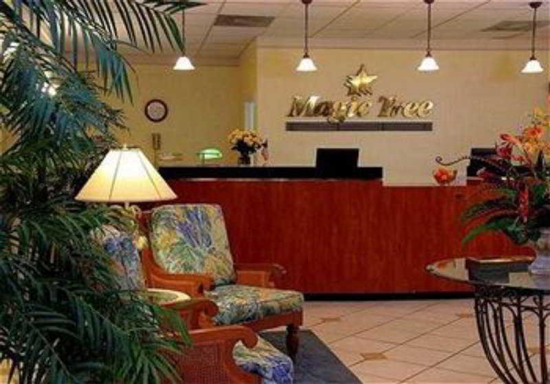Magic Tree Resort Four Corners Intérieur photo